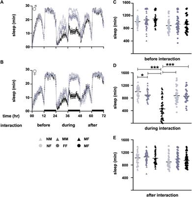 Understanding the impact of sociosexual interactions on sleep using Drosophila melanogaster as a model organism